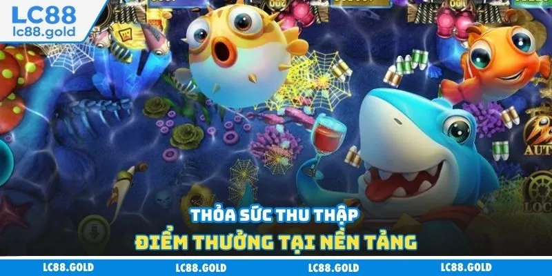 Thỏa sức thu thập điểm thưởng tại nền tảng Thỏa sức thu thập điểm thưởng tại nền tảng