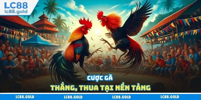 Cược gà thắng, thua tại nền tảng Cược gà thắng, thua tại nền tảng