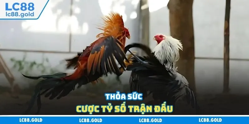 Thỏa sức cược tỷ số trận đấu Thỏa sức cược tỷ số trận đấu