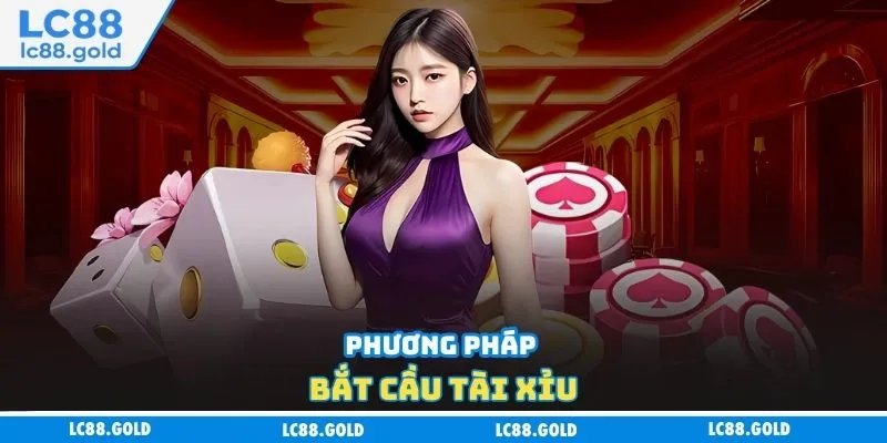 Phương pháp bắt cầu tài xỉu